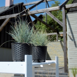 受け皿が付いている円形の植木鉢-Ratolla-25 cm-Umbra - 