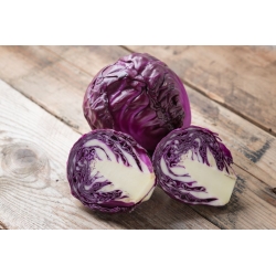 Rödkål - Koda - 280 frön - Brassica oleracea,convar. capitata,var. rubra.