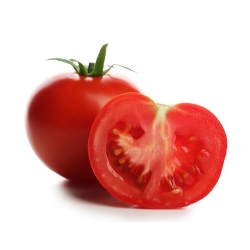 토마토 "베타"- 취미 정원가에게 이상적 - Lycopersicon esculentum Mill  - 씨앗