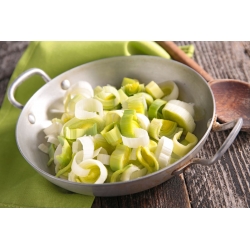 Leek "Carentan 3" - late, winter variety - 160 seeds