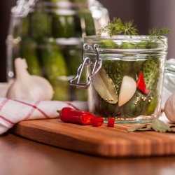 ककड़ी डार के बीज - कुकुमिस सतिवस - 165 बीज - 