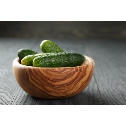 ककड़ी "मार्कस" - कड़वाहट के संकेत के बिना - 105 बीज - 