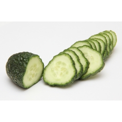 ककड़ी "गुड़" - 105 बीज - 