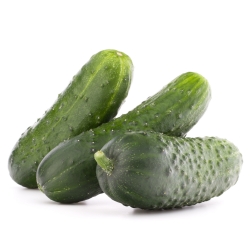 ककड़ी "क्रक" - अचार के लिए - 105 बीज - 