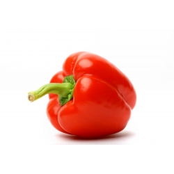 Pepper "Iga" - 60 seeds