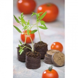 Expandierbare Torfpellets 44 mm - 12 Stück - 