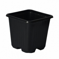 Square nursery pots - 7 x 7 x 7 cm - 200 pieces