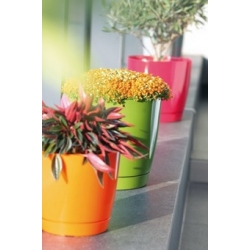 접시가 달린 둥근 화분-Coubi-15,5 cm-밀크 커피 - 