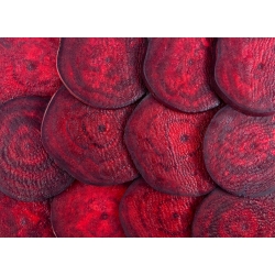 Παντζάρια "Polglob" - 500 σπόροι - Beta vulgaris