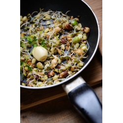 もやしの種 - 炒め物ミックス -  - シーズ