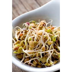 種子の発芽 - 若返りミックス -  - シーズ