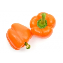 Pepper "Rewia" - sweet - 100 seeds