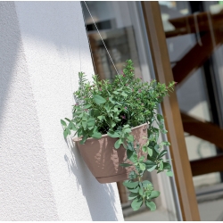 Hængende blomsterpotte med underkop - Ratolla - 24 cm - Hvid - 