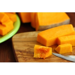 Calabaza - Golias - 9 semillas - Cucurbita maxima