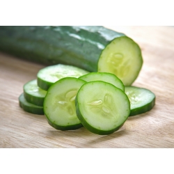 Cetriolo - Marta F1 - 35 semi - Cucumis sativus