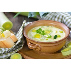 Leek "Starozagorsky Kamush" - early variety - 320 seeds