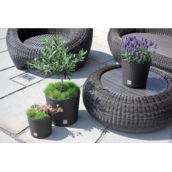 Maceta redonda - Rato - 20 cm - Blanco - 