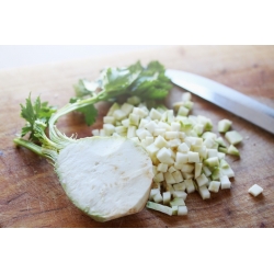 Sellerie 'Maxim' - späte Sorte