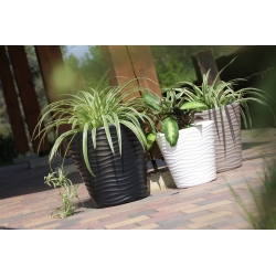 圆形花盆-波浪-35厘米-白色 - 