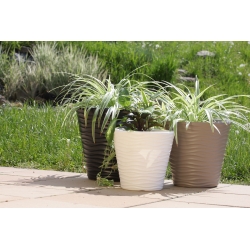 圆形花盆-波浪-35厘米-白色 - 