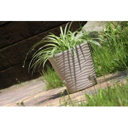 Kerek virágcserép - Hullám - 30 cm - Mocca - 