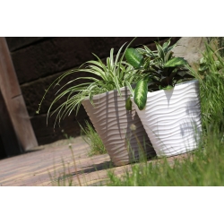 圆形花盆-波浪-35厘米-白色 - 