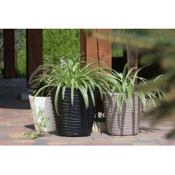 圆形花盆-波浪-35厘米-白色 - 