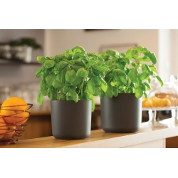 "Aruba" okroglo ohišje za lončke - 15 cm - antracitno-sivo - 