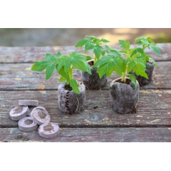 Expandierbare Torfpellets 18 mm - 10 Stück - 