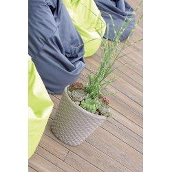 丸い植木鉢-Rato-35 cm-Umbra - 