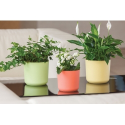 Ohišje okroglega lonca "Aruba" - 15 cm - pistacija-zelena - 