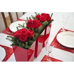 Fioriera alta "Finezja" quadrata con un inserto - 19 cm - rossa - 