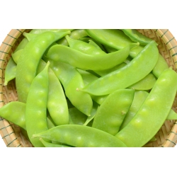 BIO - Field sugar snap pea "Norli" - certified organic seeds