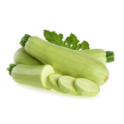 Zucchini 'Bianca di Trieste' - schnell wachsende Sorte