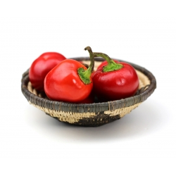 Pepper "Alexander" - dark red, tomato-type variety for field and tunnel cultivation - 65 seeds