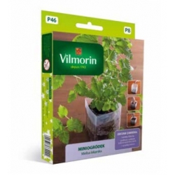 มินิการ์เด้น - เลมอนบาล์ม - ชุดเริ่มต้นสำหรับการเพาะปลูกในร่ม - 600 เมล็ด - Melissa officinalis