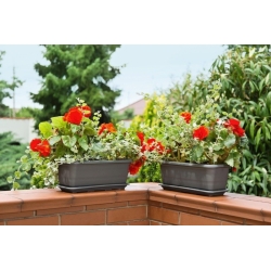 Lamela flower growing box - 50 cm - anthracite-grey