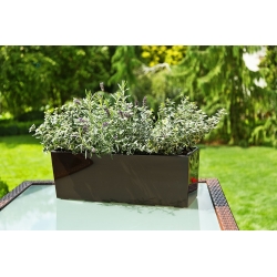 Balkonska garnitura "Begonia" - 19 x 56 cm - mocha-rjava - 