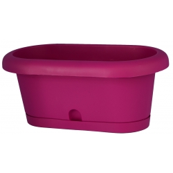 "Lotos" balcony box with a tray - 60 cm - blueberry-purple