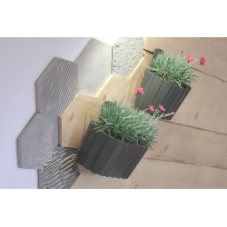 إناء نباتات معلق على الحائط - 19.4 سم - رمادي فاتح - 