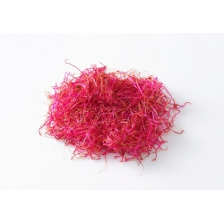 BIO Βλάστηση σπόρων - κόκκινα τεύτλα - Πιστοποιημένοι οργανικοί σπόροι - Beta vulgaris 