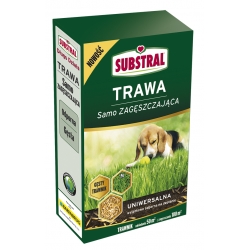 Selección de semillas de espesante de césped universal - Substral - 1 kg - 