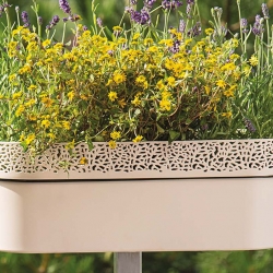 Vỏ nồi lưới "Rosa" với lớp hoàn thiện giống như ren - 30 x 11,7 cm - màu be nhạt - 