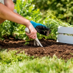 Petite fourchette de jardin - PASTEL - beige pastel - CELLFAST - 