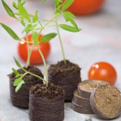 Expandierbare Torfpellets 27 mm - 12 Stück - 