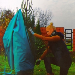 Red Christmas tree case with a zipper