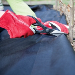 काले विरोधी खरपतवार ऊन (एग्रोटेक्स्टाइल) - शहतूत के लिए - अतिरिक्त-मोटी - 1.20 x 10.00 मीटर - 