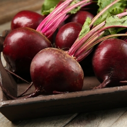 Barbabietola - Jawor - 500 semi - Beta vulgaris