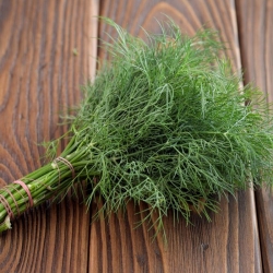Garden dill "Superducat" - 2800 seeds