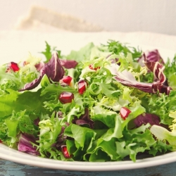 Baby Leaf - mešana mešanica zelene solate -  - semena